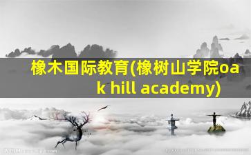 橡木国际教育(橡树山学院oak hill academy)